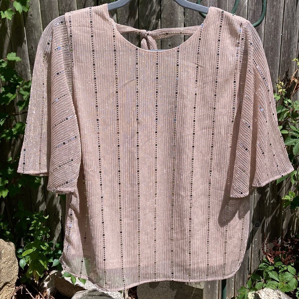 NWT Sweet Rain lined sheer sparkle shirt with tie back in champagne, size large